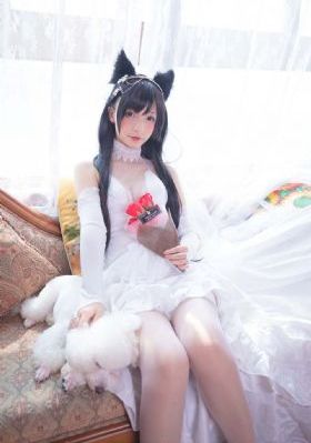 兄弟的女朋友免费观看正版电视剧_在线完整观看